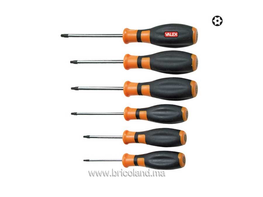 Jeu de 6 tournevis torx 1463812 - Valex-0