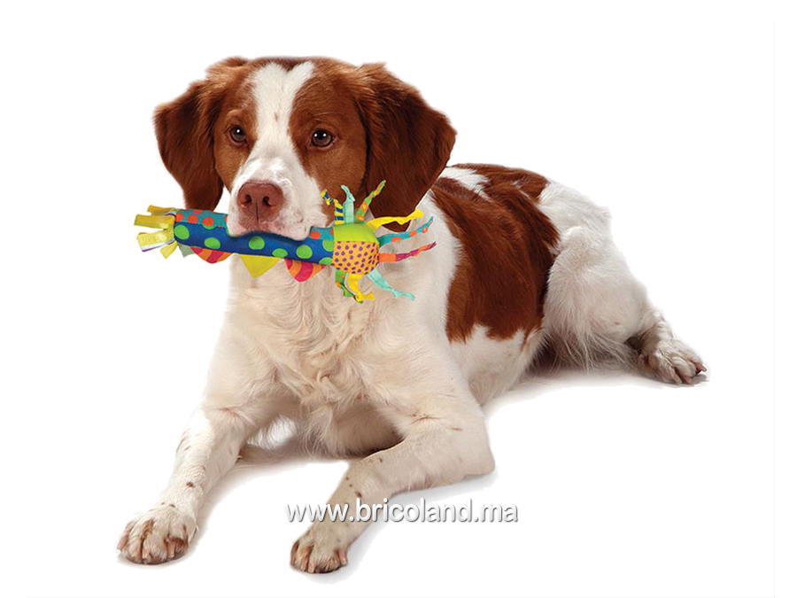 Jouet pour chien Cool Teething Stick - Petstages-1612