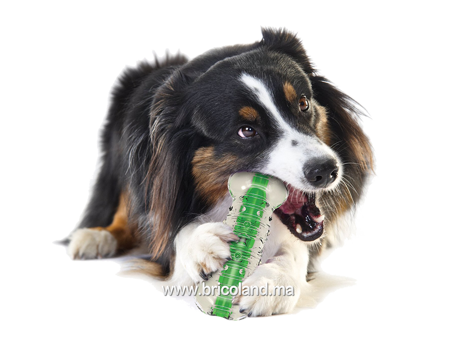 Jouet pour chien Crunchcore - Taille L - Petstages-1621