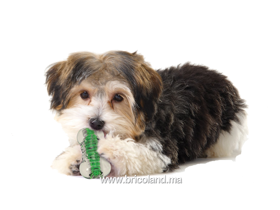 Jouet pour chien Crunchcore - Taille S - Petstages-1615