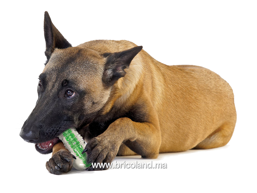 Jouet pour chien Crunchcore - Taille M - Petstages-1627