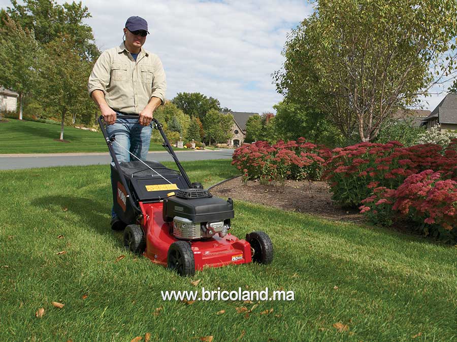 Tondeuse thermique tractée 22291 Kawasaki - Toro-2125