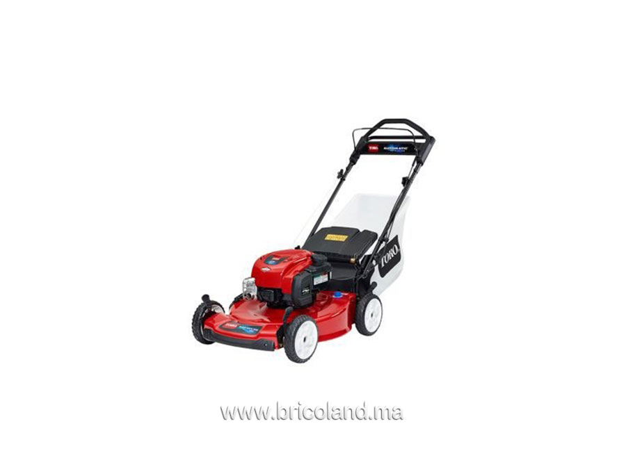 Tondeuse thermique tractée 20339 Recycler - 55cm - Toro-0