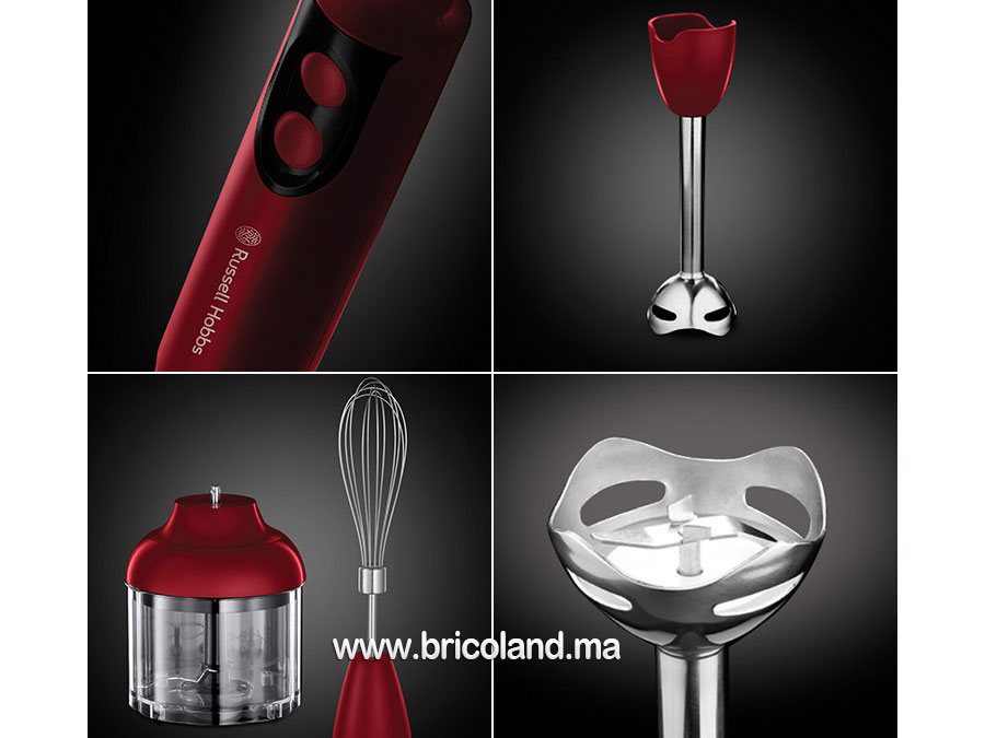 Mixeur plongeant 3 en 1 Desire 400W 18986-56 - Russell Hobbs-6815