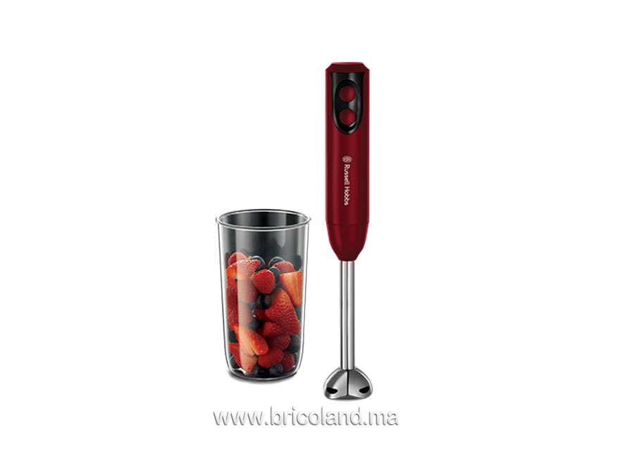Mixeur plongeant Desire 400W 18976-56 - Russell Hobbs-0