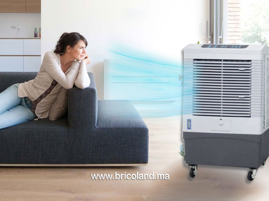 Rafraichisseur d'air 150W-7661