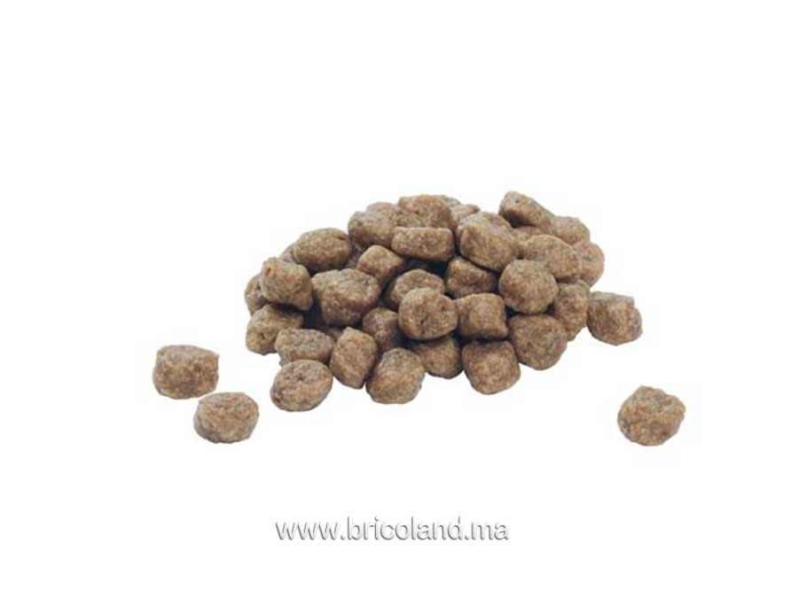 Croquette pour chiot Small&Mini Puppy Chicken 3Kg PRO PLAN - PURINA-9081