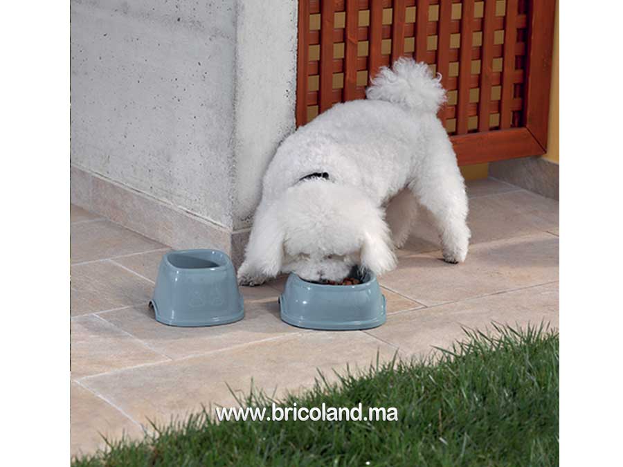 Gamelle en plastique pour chien et chat-9537