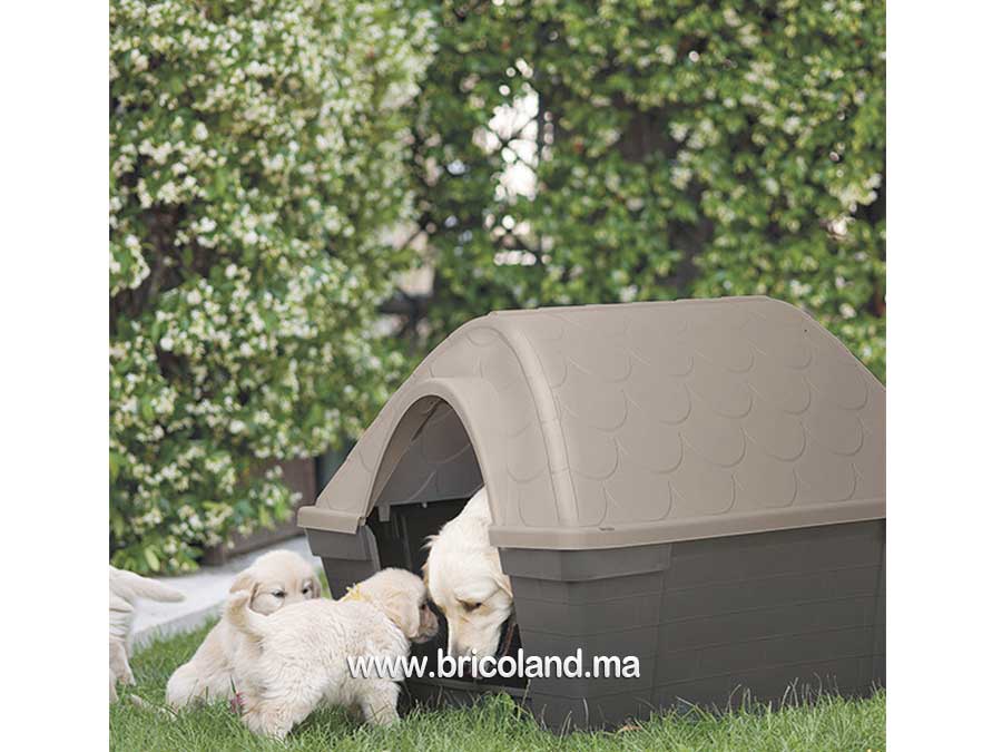 Niche Grande verte en plastique pour chiens -9566