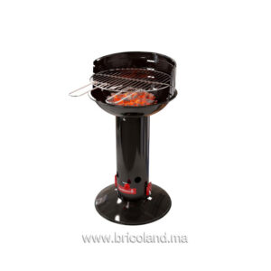 Barbecue au charbon de bois Loewy 40 - BARBECOOK-0