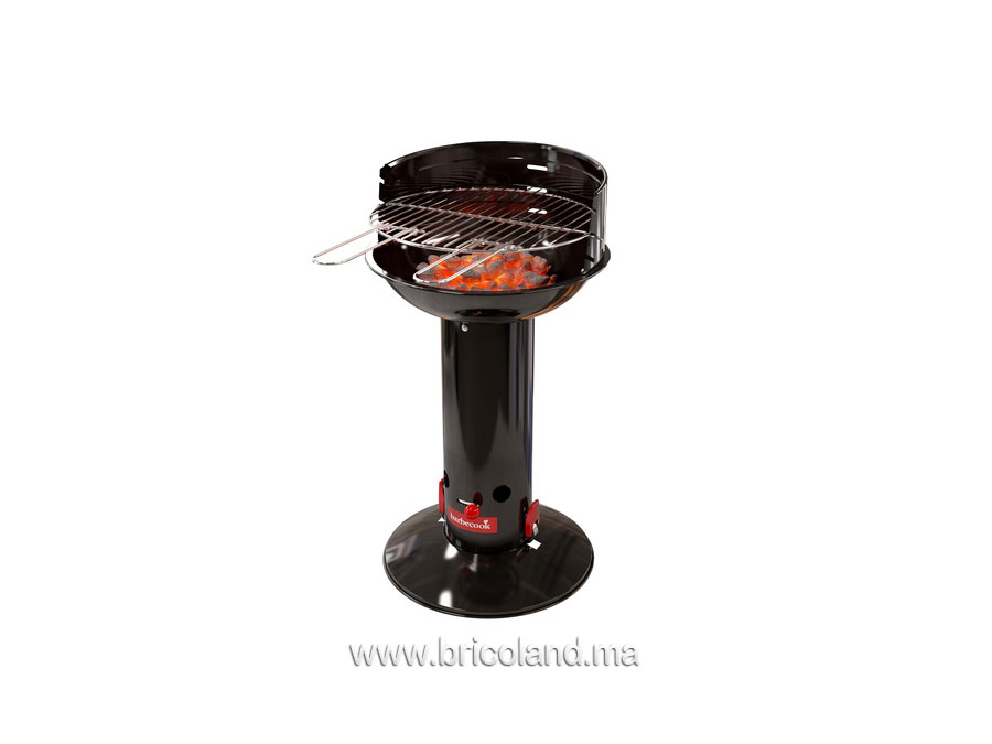 Barbecue au charbon de bois Loewy 40 - BARBECOOK-0