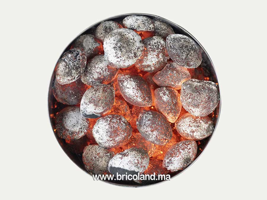 Briquette de charbon vert d'olive 3 kg - Olivette -10150