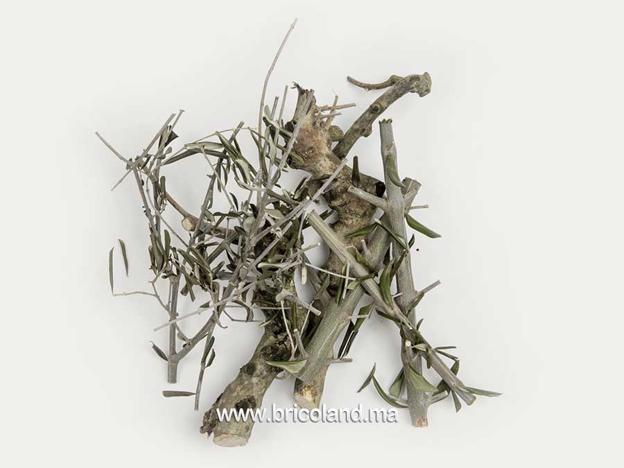 Briquette de charbon vert d'olive 3 kg - Olivette -10151