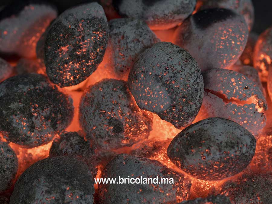 Briquette de charbon vert d'olive 3 kg - Olivette -10154