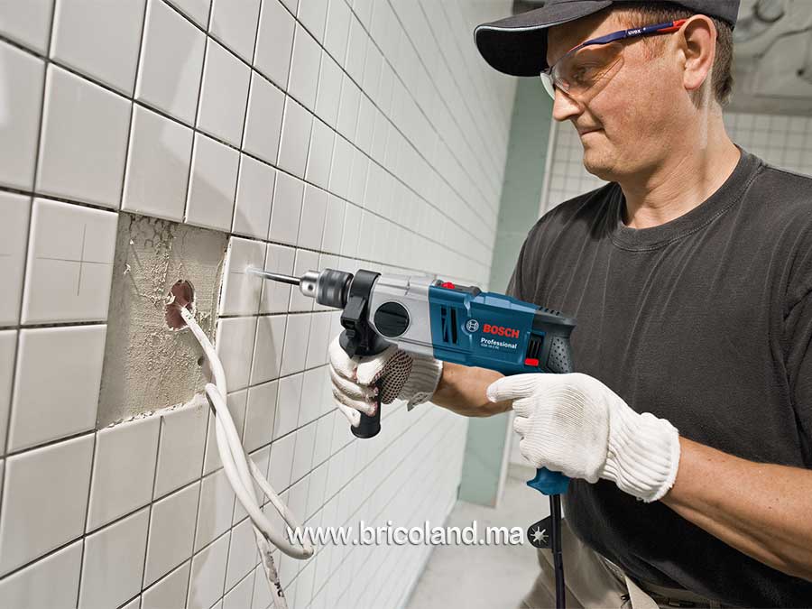 Perceuse à percussion GSB 18-2 RE Professional - Bosch -10732