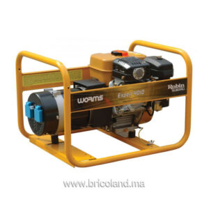 Groupe électrogène essence 4 KVA EXPERT 4010 X - WORMS-0