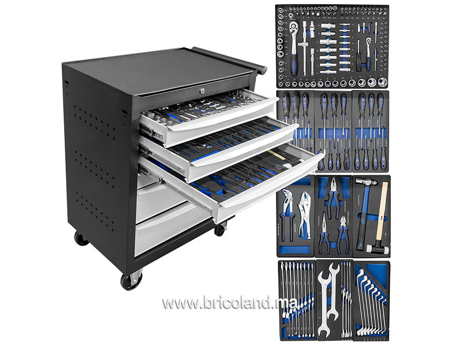 Servante d'atelier 6 tiroirs avec 169 outils - JBM-0