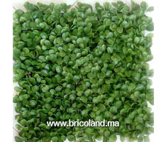 Tapis de buis artificielle 50cm²-thumbnail