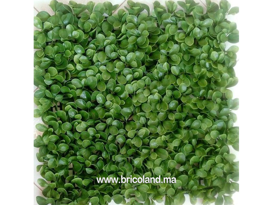 Tapis de buis artificielle 50cm²-0