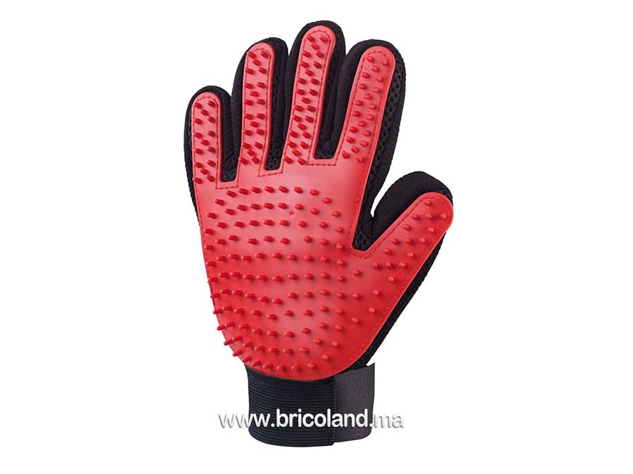 Gant de brossage pour chiens & chats-0
