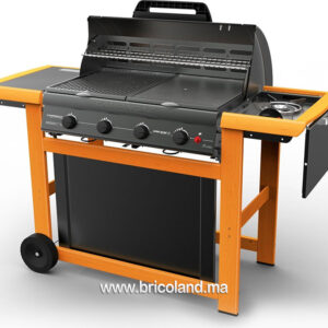 Barbecue à gaz Adelaide 4 Woody L DLX - Campingaz-0
