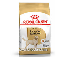 Croquettes pour chien Labrador Retriever Adult 12 Kg - Royal Canin-thumbnail