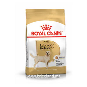 Croquettes pour chien Labrador Retriever Adult 12 Kg - Royal Canin-0