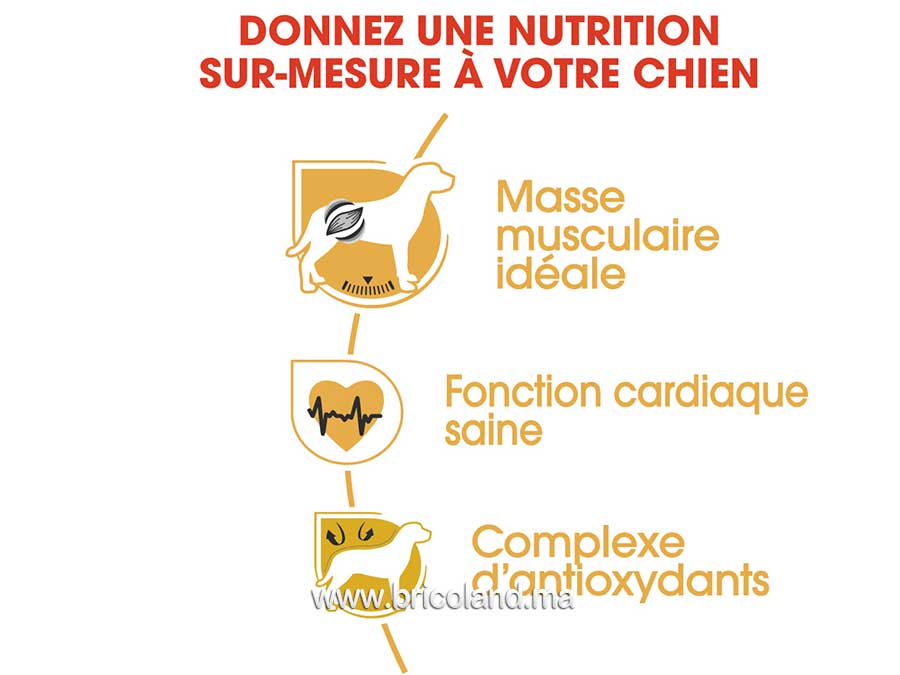 Croquettes pour chien Boxer Adulte - 12 Kg - Royal Canin-12083