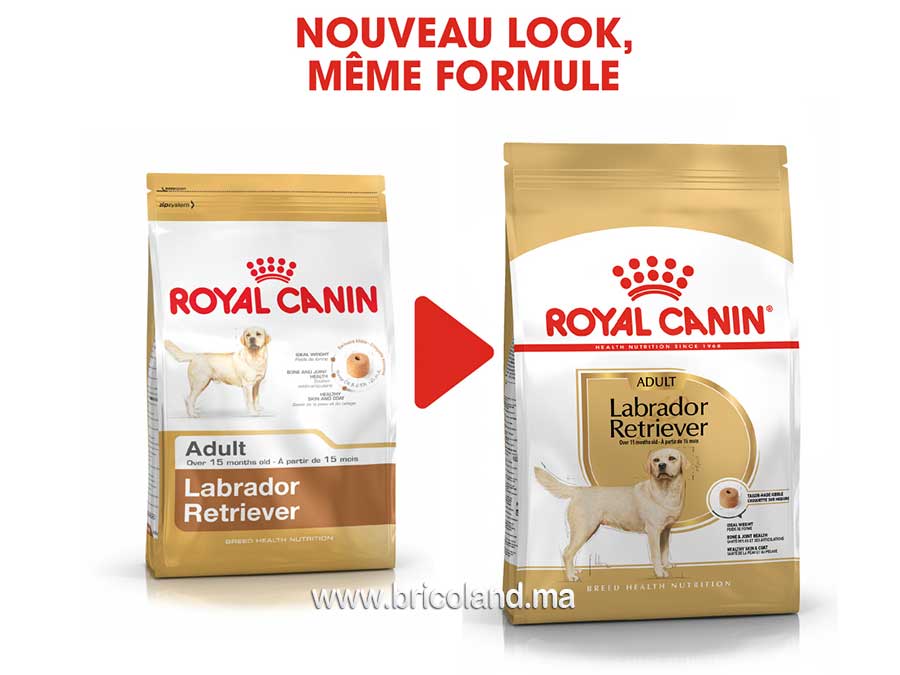 Croquettes pour chien Labrador Retriever Adult 12 Kg - Royal Canin-12182