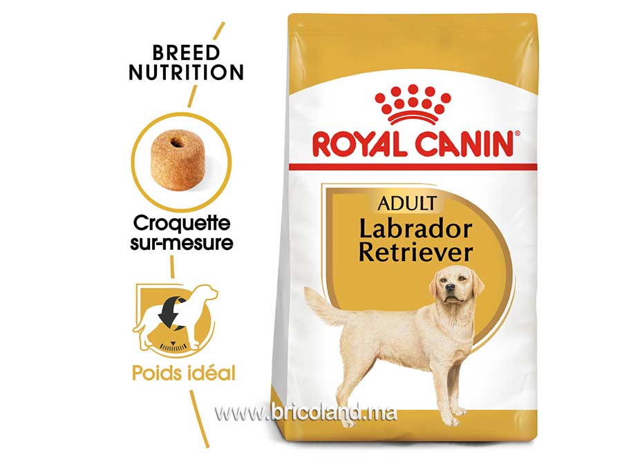 Croquettes pour chien Labrador Retriever Adult 12 Kg - Royal Canin-12186