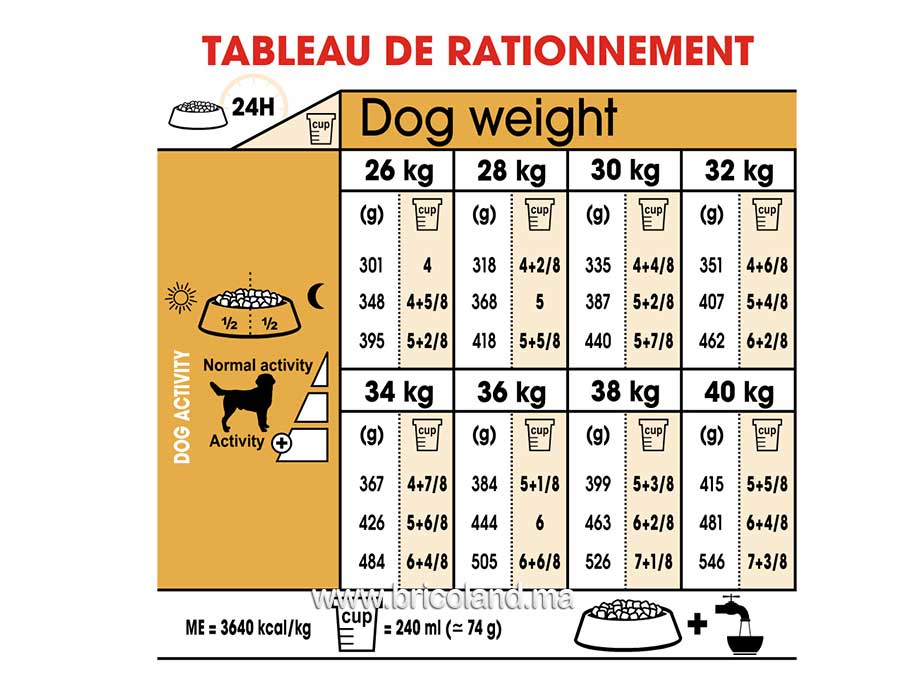Croquettes pour chien Labrador Retriever Adult 12 Kg - Royal Canin-12183