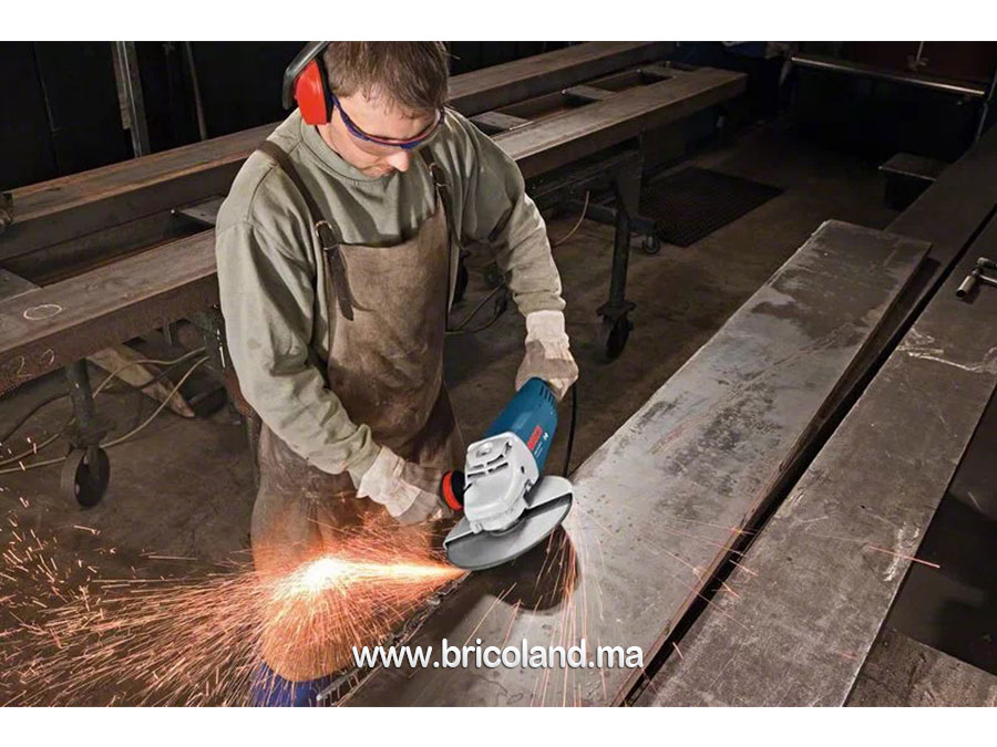Meuleuse angulaire GWS 24-230 P Professional - Bosch-12512