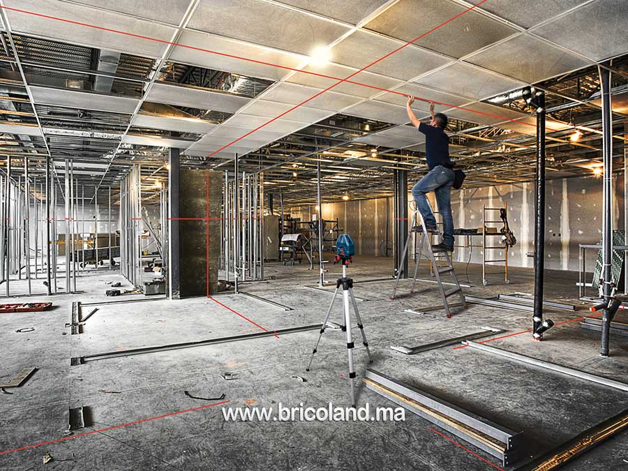 Laser lignes GLL 5-50 X Professional - Bosch-12816