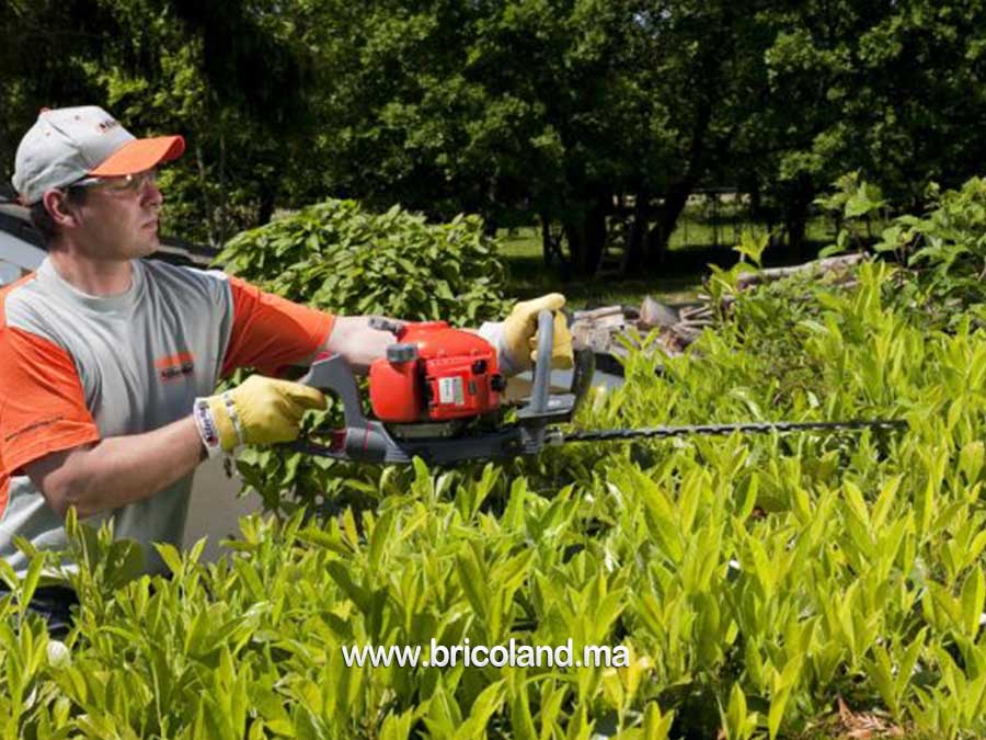 Taille haie HC 265 XP Professionnel - Oleo-Mac -13036
