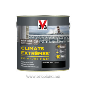 Peinture fer Climats Extrêmes Mat 0.5L - V33 -0
