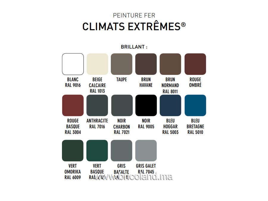 Peinture fer Climats Extrêmes Brillant 0.5L - V33 -13071