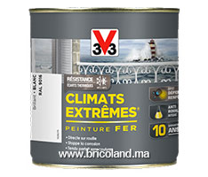 Peinture fer Climats Extrêmes Brillant 0.5L - V33 -thumbnail