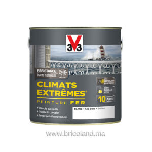 Peinture fer Climats Extrêmes Brillant 0.5L - V33 -0