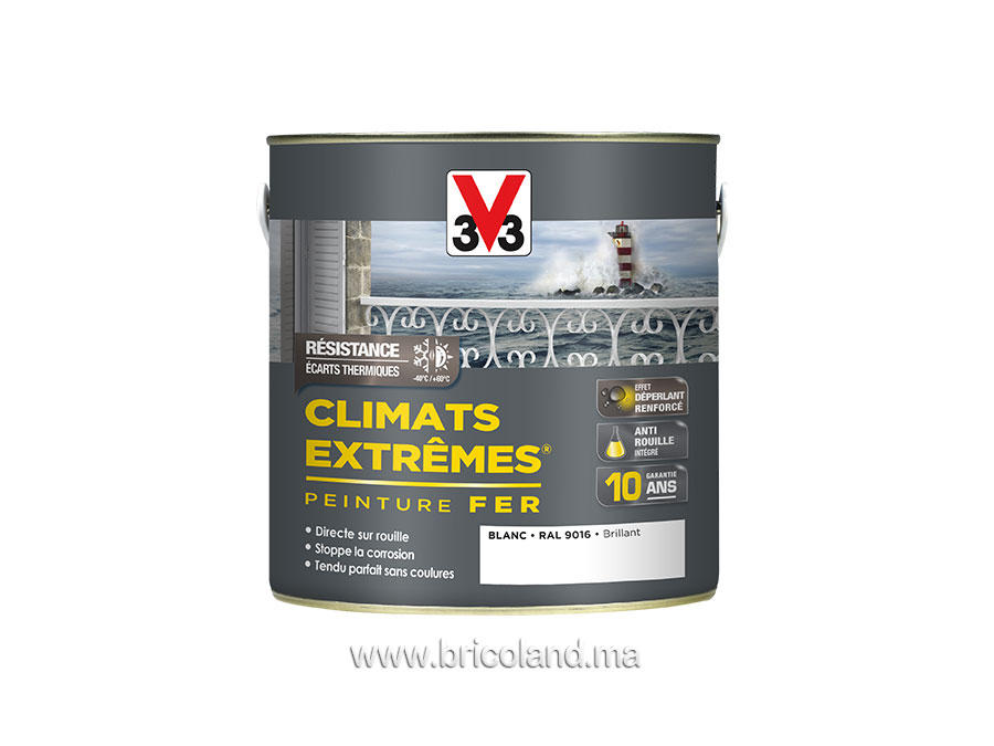 Peinture fer Climats Extrêmes Brillant 0.5L - V33 -0