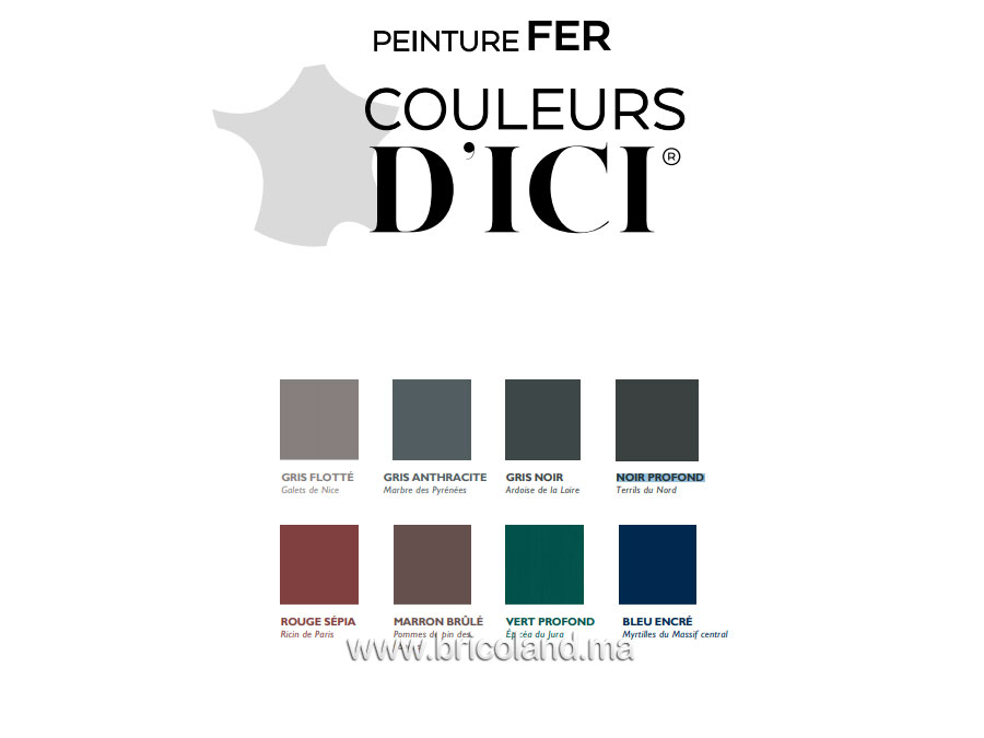 Peinture fer Couleurs d'ICI 0.5L - V33-13084