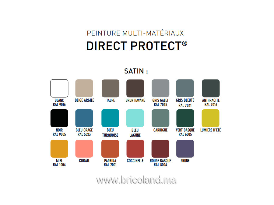 Peinture multi-matériaux Direct Protect Satin 0.5L - V33-13082