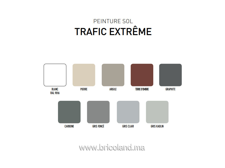 Peinture sol Trafic Extrême 2.5L - V33-13044
