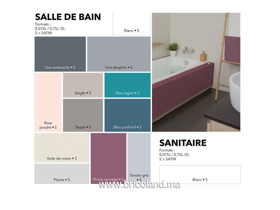 Peinture Rénovation Perfection Salle de bain 0.75L - V33-13471