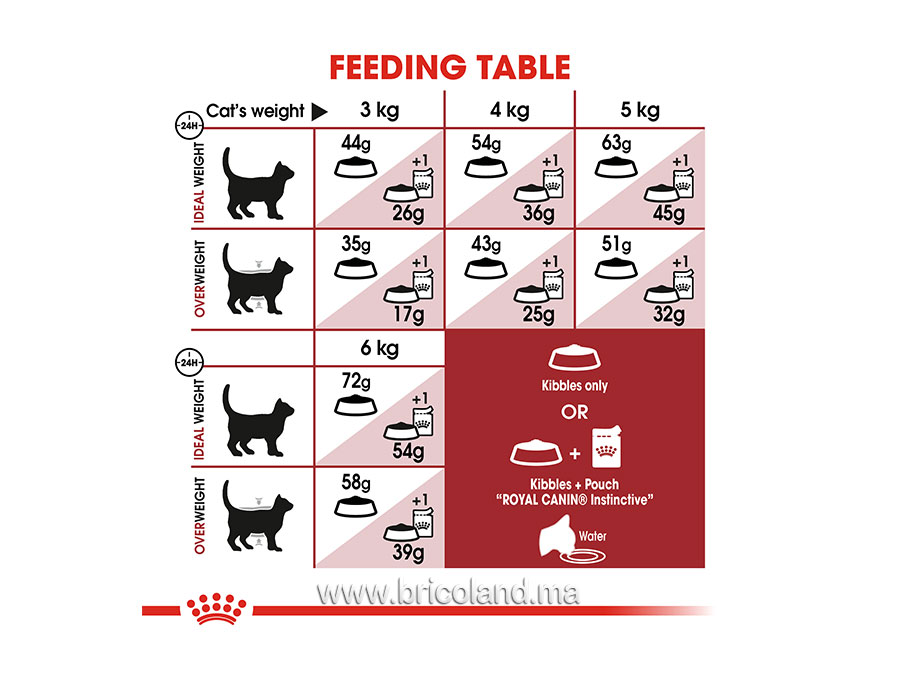 Fit 32 pour chat 4 Kg - Royal Canin-13689