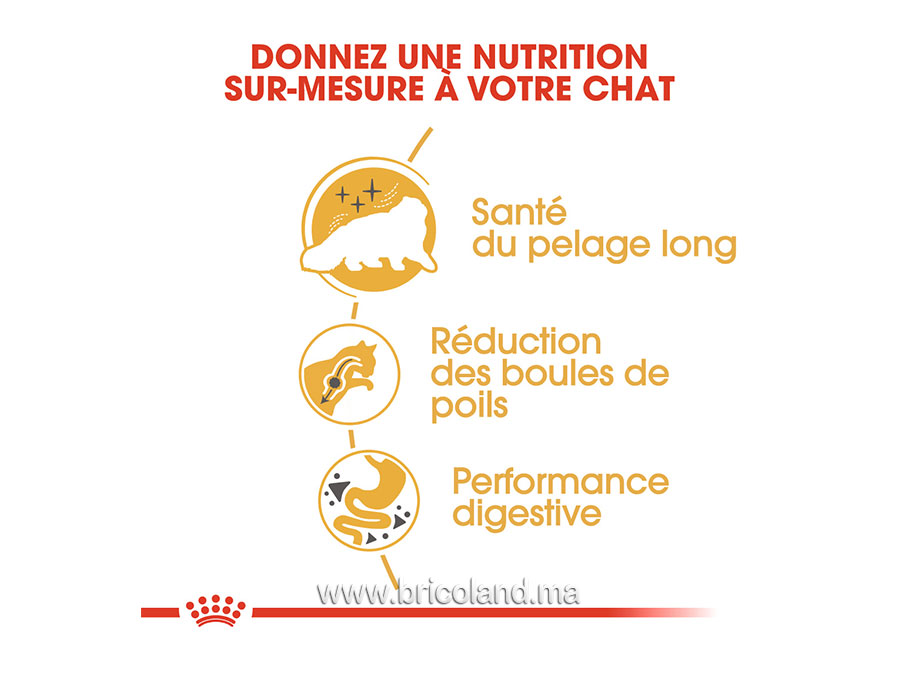 Croquettes pour chat Persian - 10 Kg - Royal Canin-13705