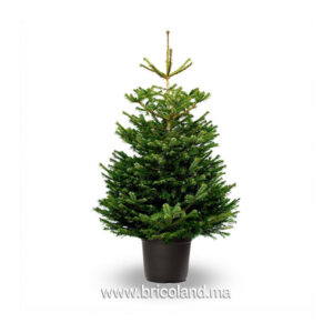 Sapin Nordmann naturel 225 cm-0