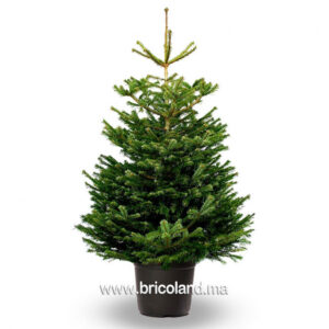 Sapin Nordmann naturel 300 cm-0