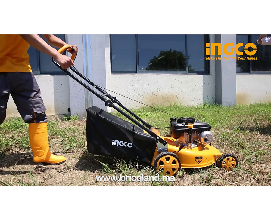 Tondeuse à gazon à essence 4.0CV GLM141181 - INGCO-15073