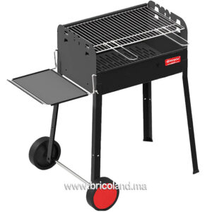 Barbecue Iseo à charbon de bois - FERRABOLI-0
