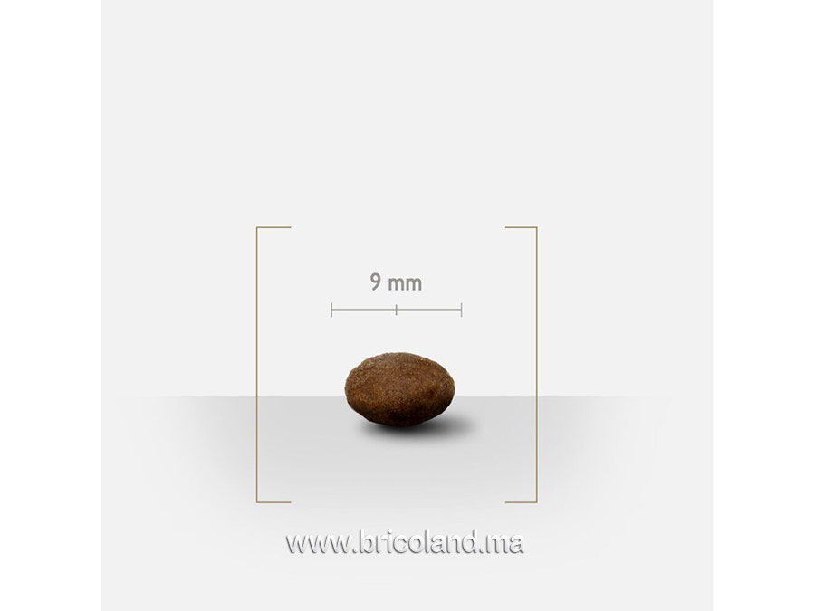 Croquettes pour chiot de petite et moyenne taille - UltraPremium-15388